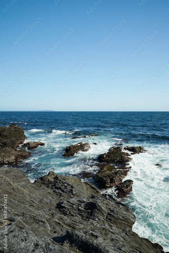 海 海