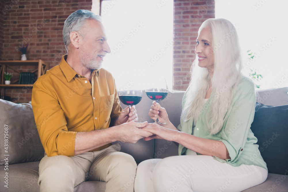 Photo of charming cheerful old man and woman couple family hold glass wine hands anniversary indoors inside house - obrazy, fototapety, plakaty 