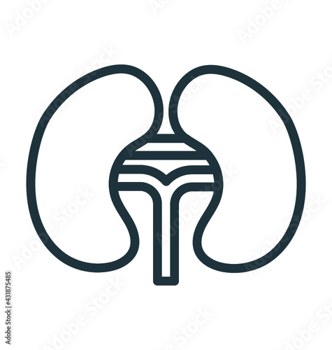 Kidneys
