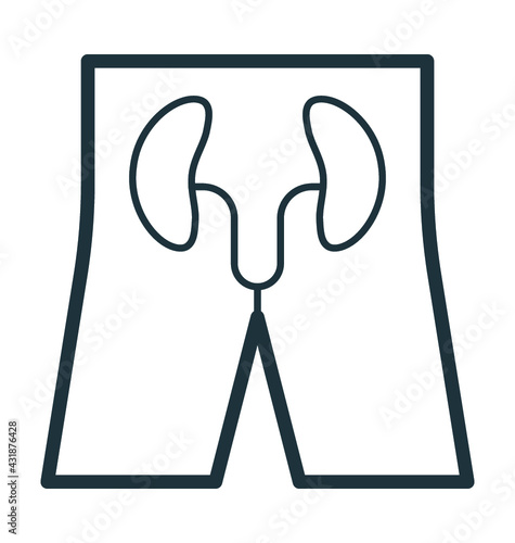 Kidneys 