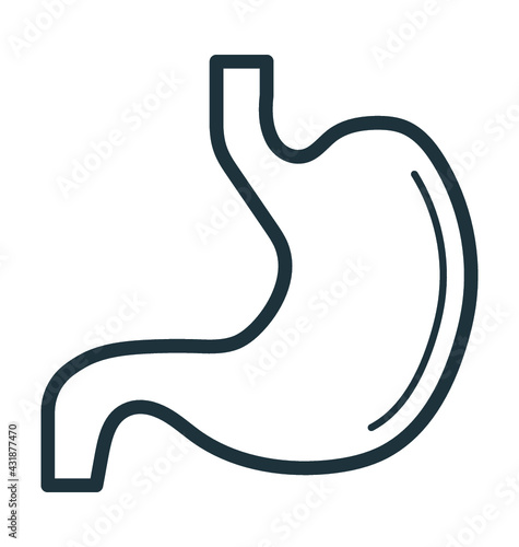 Stomach 