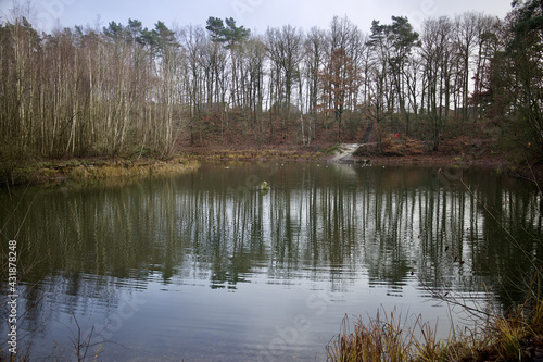 Calm scenery of a lake with trees reflection on the surface in Schleswig-Holstein, Germany photo