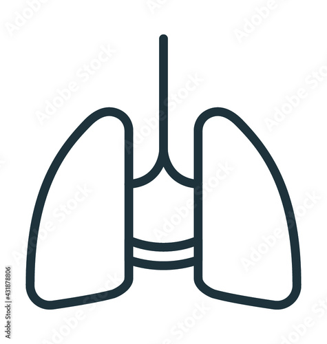 Human Lungs