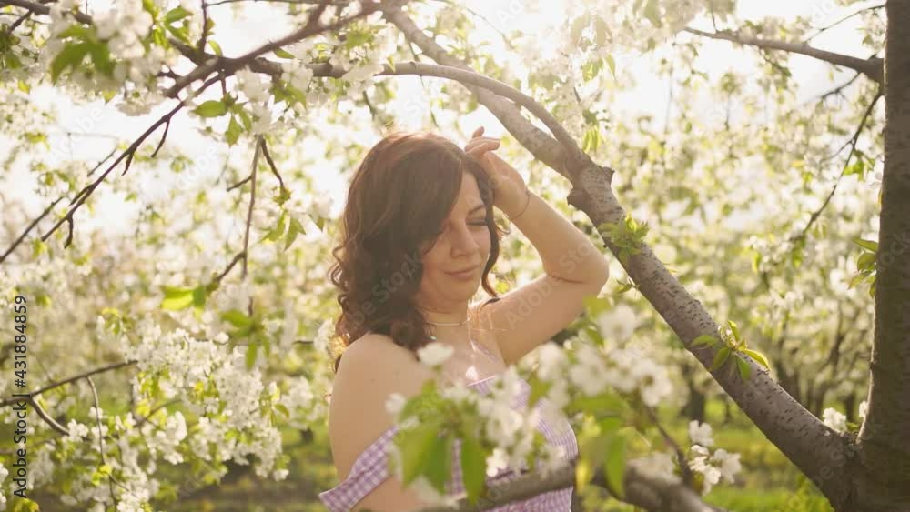 attractive woman near flowering tree in spring park. Cherry Orchard. solar glare attractive woman near flowering tree in spring park. Cherry Orchard. solar glare