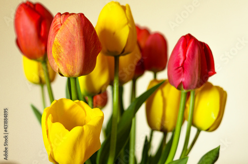 bouquet of flowers tulips 