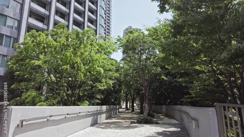 東京都港区汐留から見た東京の都市景観