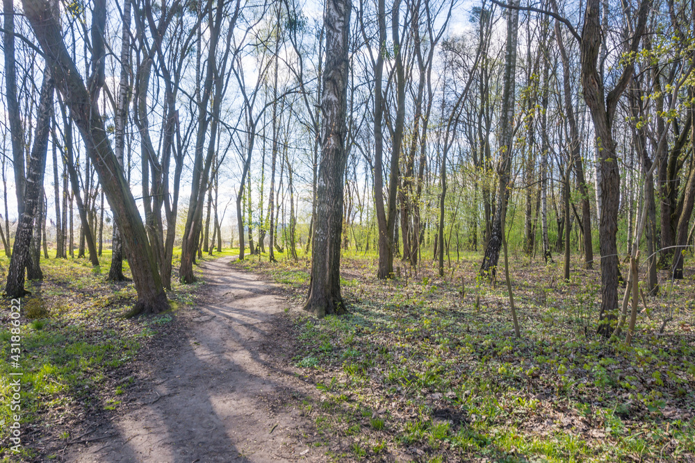 Fototapeta premium Lviv city spark in the early spring season
