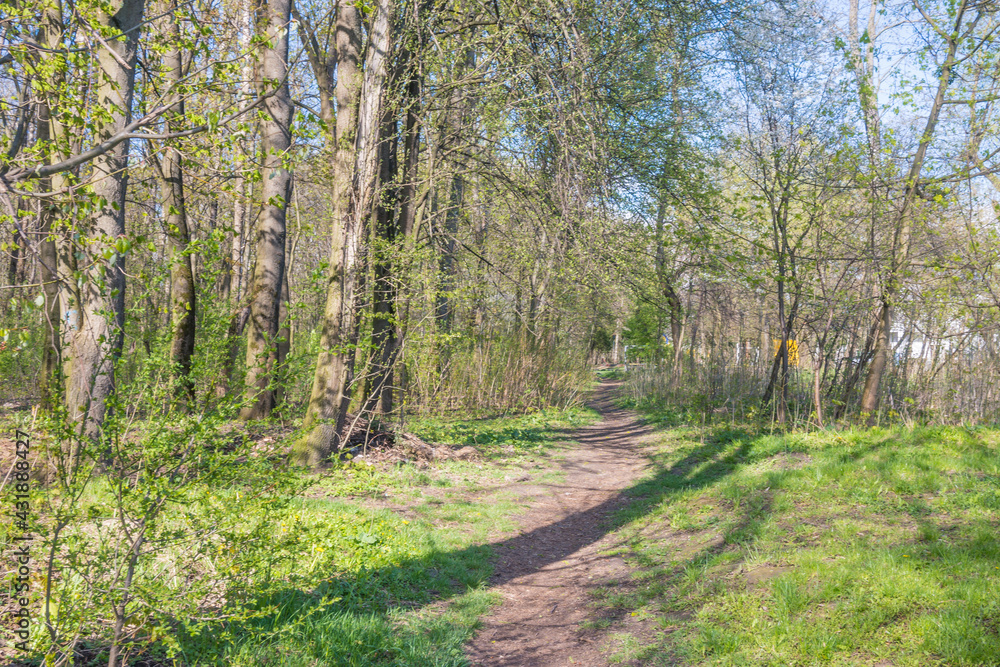 Obraz premium Lviv city spark in the early spring season