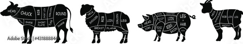 Meat cuts diagrams. Beef, pork, mutton and goat of meat. Vintage poster for groceries, butcher shop and meat store. Vector illustration.