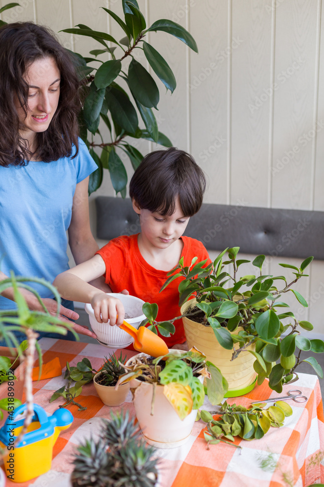Child helps mom to take care of house plants