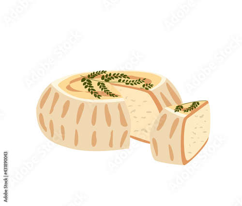 Soft cheese wheel of Filetta Corsica decorated with fern sprig. Whole head of gourmet French herbal chees. Colored flat vector illustration of delicatessen food isolated on white background