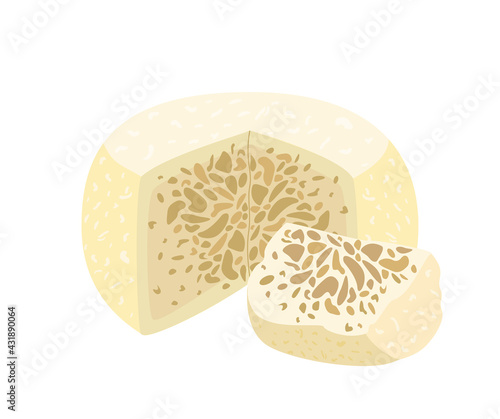 Exotic Sakartvelo Sheep cheese Guda with specific smell.Gourmet cheese with holes and bubbles.Cut piece of delicious soft chees.Flat vector illustration of delicatessen food isolated, white background