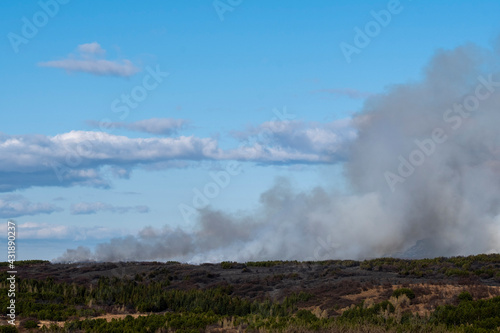 Forest fire in nature reserve near Reykjavik