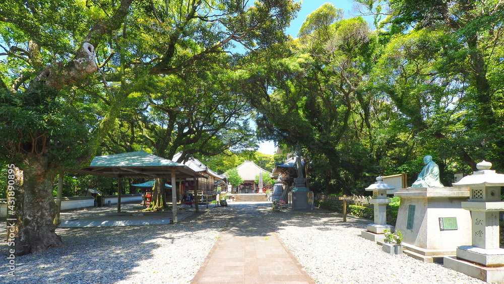 Fototapeta premium 第24番札所 最御崎寺3