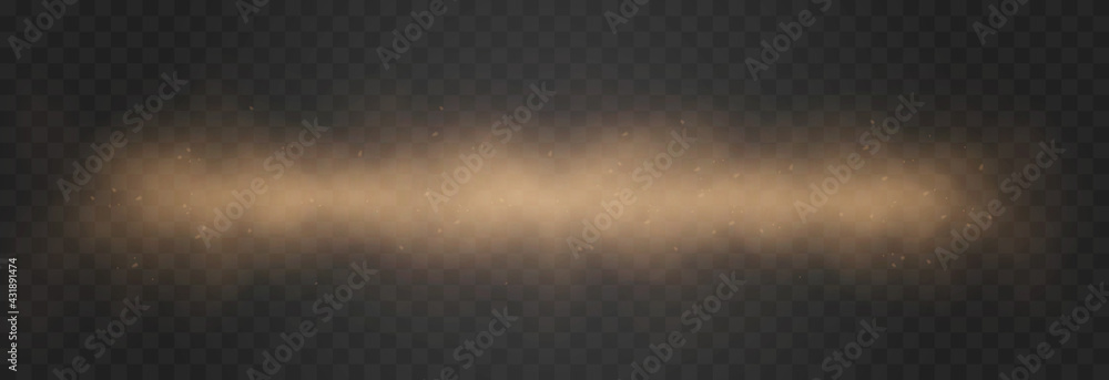 Vector sandy dust cloud. Clouds with dust particles. Sandstorm on an isolated transparent background. PNG.	