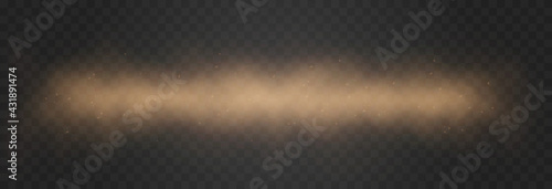 Vector sandy dust cloud. Clouds with dust particles. Sandstorm on an isolated transparent background. PNG.	