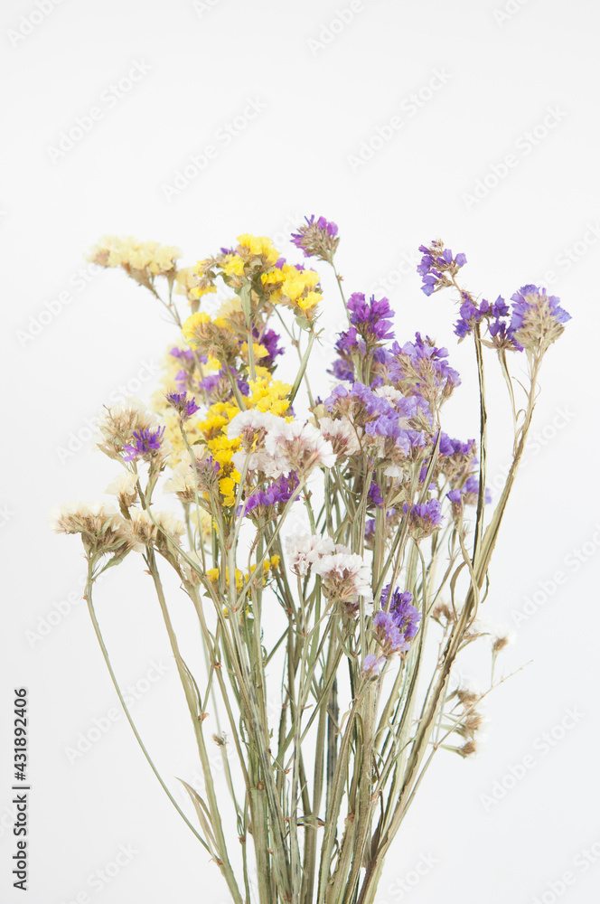 colorful dried field flowers on white background close up colorful dried field flowers on white background close up
