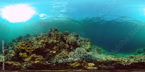 Tropical fishes and coral reef underwater. Hard and soft corals  underwater landscape. Philippines. Virtual Reality 360.