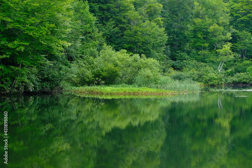 lake in the woods