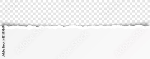 vector torn paper with ripped edges with space for your text