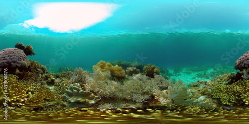 Underwater fish reef marine. Tropical colourful underwater seascape. Philippines. 360 panorama VR © Alex Traveler