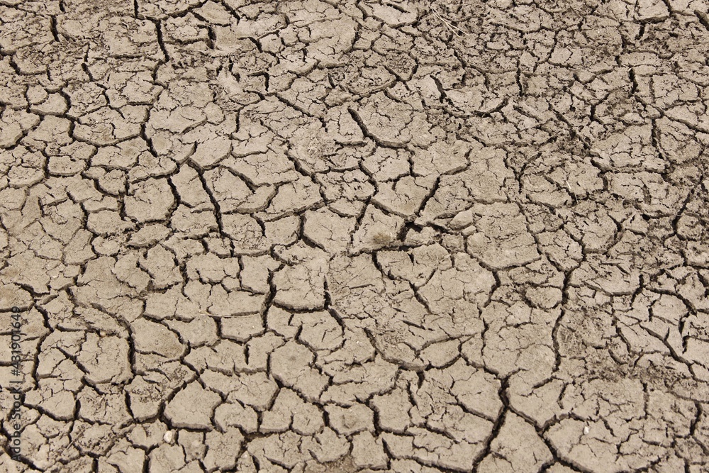 Cracked soil caused by drought Cracked soil caused by drought