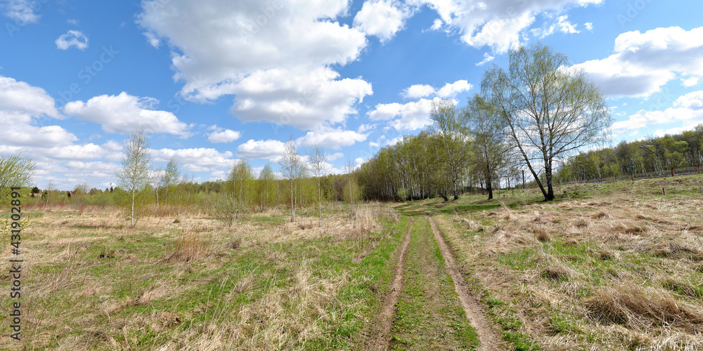 Spring walk through the forest, beautiful panorama. Spring walk through the forest, beautiful panorama.