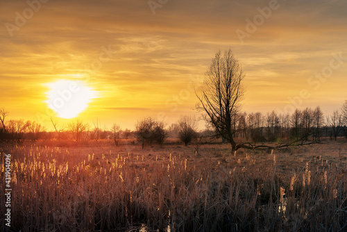 sunset over the river