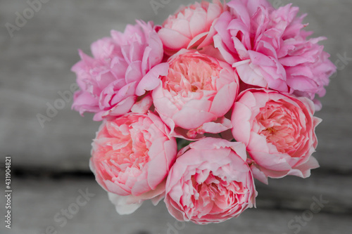 Fototapeta Naklejka Na Ścianę i Meble -  A beautiful rose , ST Ethelburga Rose,
A beautiful bouquet of roses in a vase 