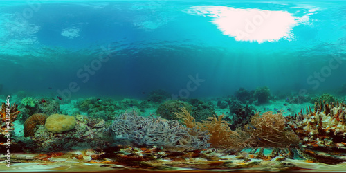 Beautiful underwater landscape with tropical fish and corals. Hard and soft corals, underwater landscape. Travel vacation concept. Philippines. 360 panorama VR © Alex Traveler