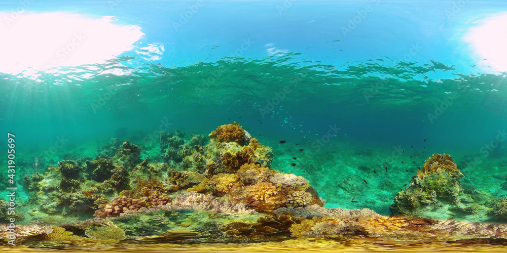 Tropical fishes and coral reef at diving. Underwater world with corals and tropical fishes. Philippines. Virtual Reality 360.