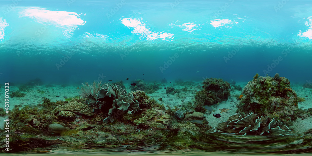 Fototapeta premium Reef Marine Underwater Scene. Tropical underwater sea fish. Philippines. Virtual Reality 360.