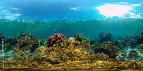 Tropical Fishes on Coral Reef, underwater scene. Colourful tropical coral reef. Scene reef. Philippines. 360 panorama VR