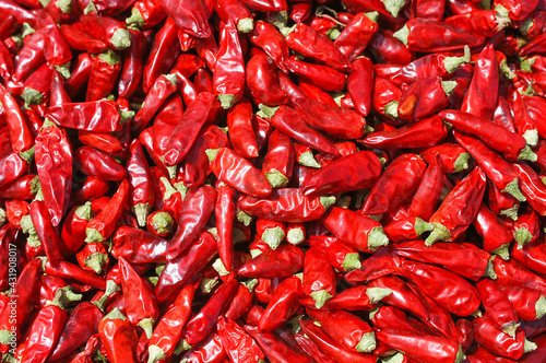 Calabrian spicy pepper for the preparation of nduja put to dry in the air
