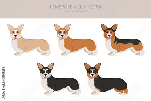Welsh corgi pembroke clipart. Different poses, coat colors set