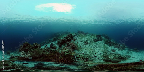 Tropical coral reef seascape with fishes  hard and soft corals. Philippines. 360VR Video.