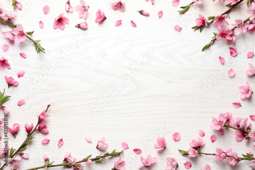 Frame of beautiful sakura tree blossoms on white wooden background, flat lay. Space for text