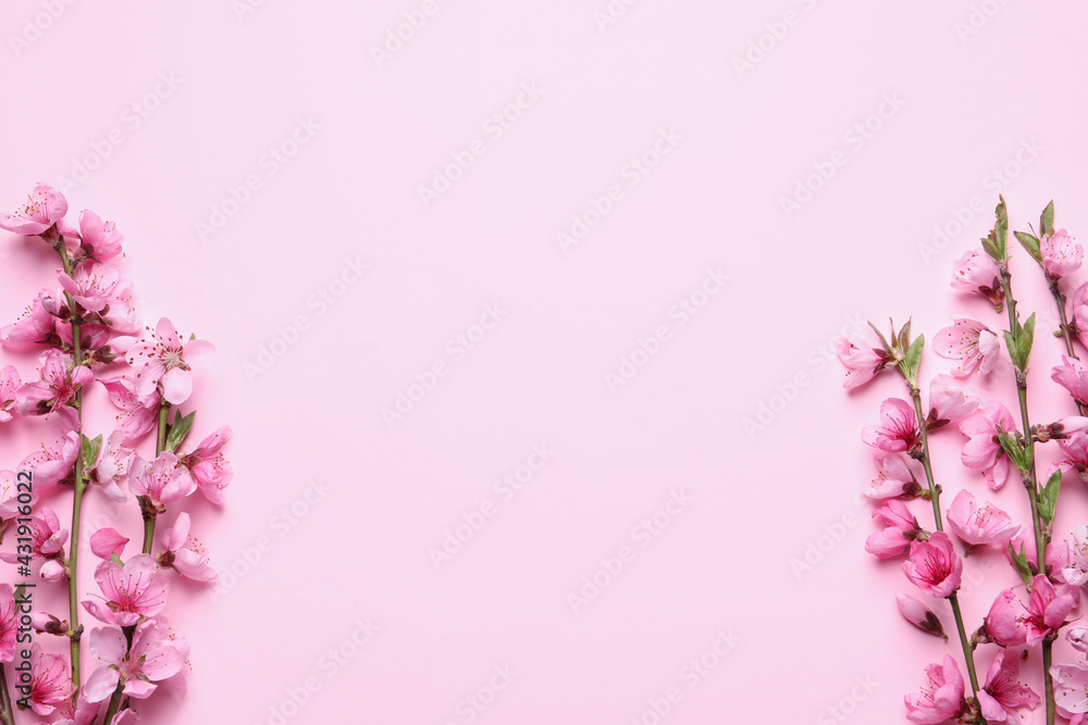 Beautiful sakura tree blossoms on pink background, flat lay. Space for text Beautiful sakura tree blossoms on pink background, flat lay. Space for text