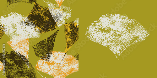 Ginko Biloba tree vector illustration.