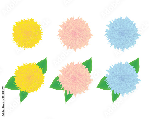 Set of flowers in different colors with leaves