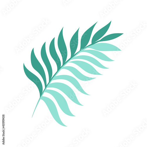 Graceful green twig. Contour leaves. Vector isolated element. Garden plant.