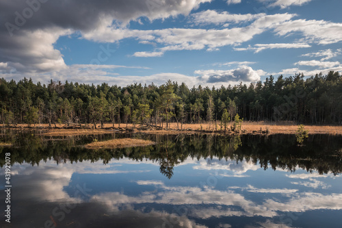 Obraz na płótnie Swamp in the Czarci Dol reserve near Celestynow, Masovian Landscape Park, Poland w salonie