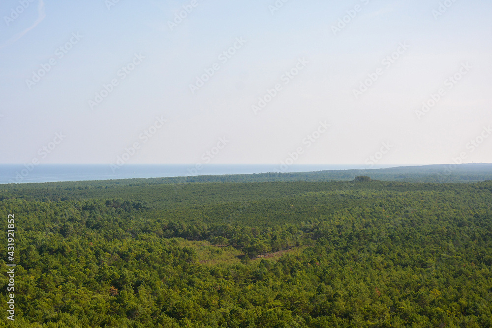 Top view shot of a forest with a lagoon Baltic coast. View from the lighthouse. Panoramic aerial view of picturesque coastline in Stilo, Poland.