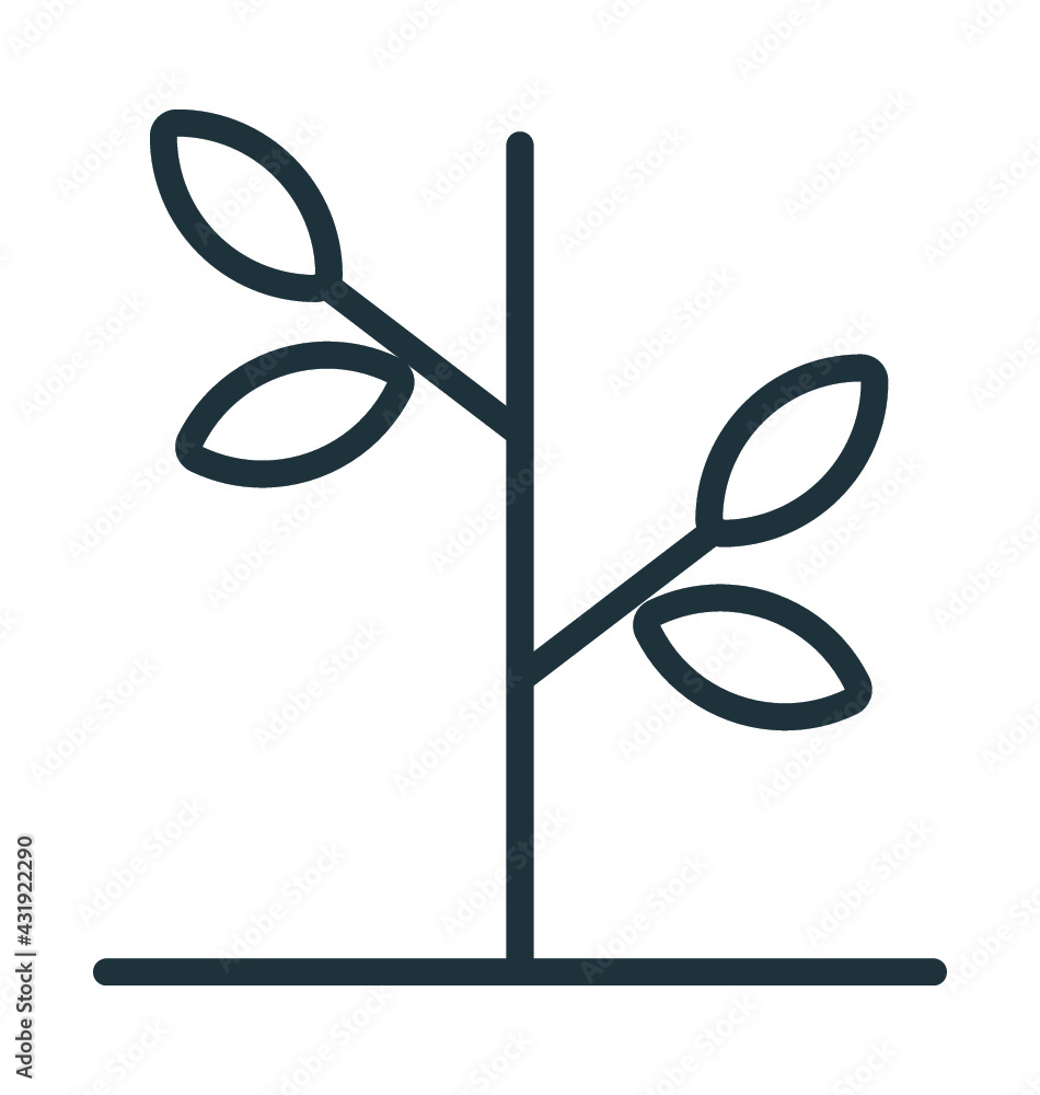 Twig Twig