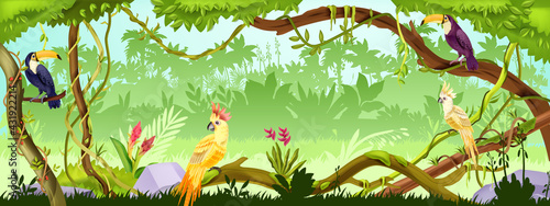Jungle forest vector nature background, wood exotic landscape, green liana, parrot, toucan, trees, thicket. Amazon tropical paradise environment, summer illustration. Jungle forest horizontal banner