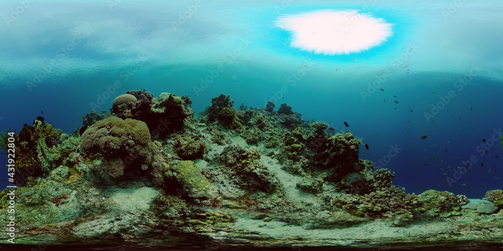 Underwater fish garden reef. Reef coral scene. Seascape under water. Philippines. Virtual Reality 360.