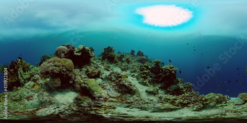 Fototapeta Naklejka Na Ścianę i Meble -  Underwater fish garden reef. Reef coral scene. Seascape under water. Philippines. Virtual Reality 360.