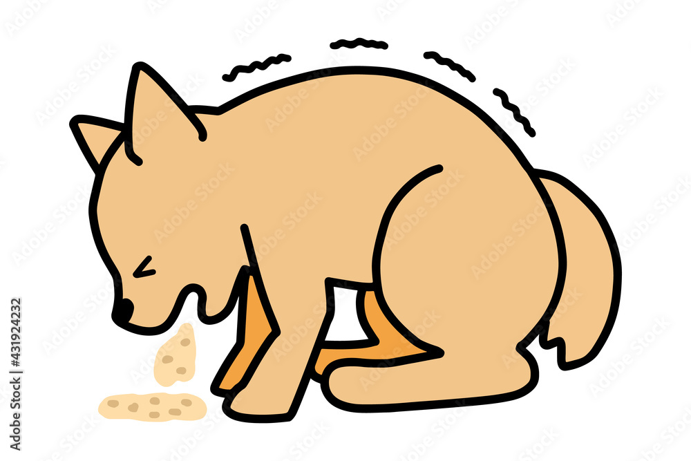 Obraz premium 犬 嘔吐 痙攣