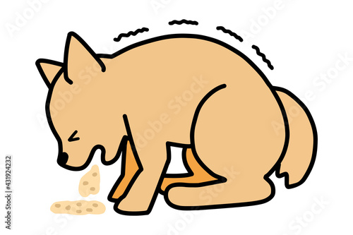 犬　嘔吐　痙攣