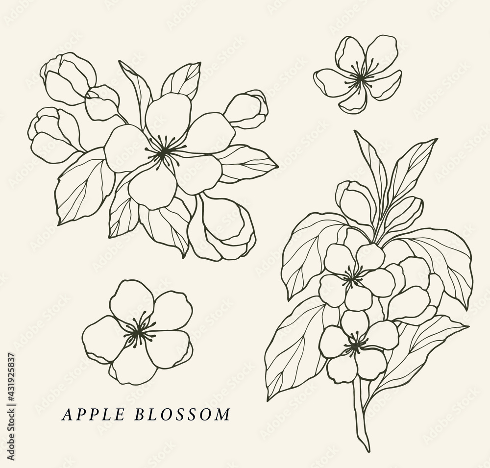 Hand drawn apple blossom collection Stock Vector Adobe Stock